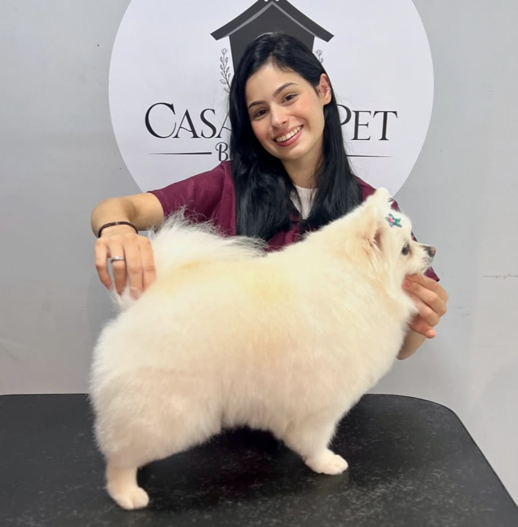 Profissional de banho e tosa com spitz branco